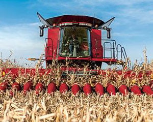 corn heads